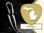 Human Trafficking Training for Michigan Healthcare Professionals: Identifying Victims of Human Trafficking from Wild Iris Medical Education