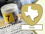 Forensic Evidence Collection for Texas Nurses: Sexual Assault Survivor Examination Guidelines from Wild Iris Medical Education