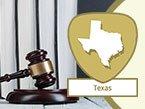 Nursing Jurisprudence and Ethics for Texas: Standards of Nursing Practice from Wild Iris Medical Education